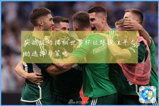 实战技巧揭秘世界杯让球投注平台的选择与策略