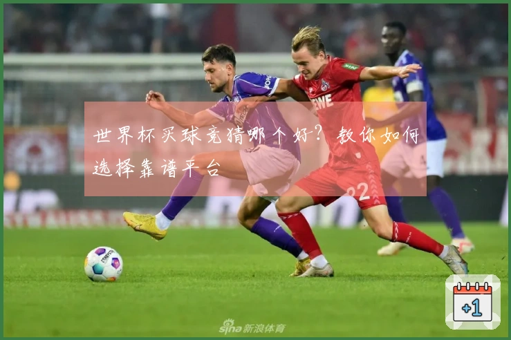 世界杯买球竞猜哪个好？教你如何选择靠谱平台