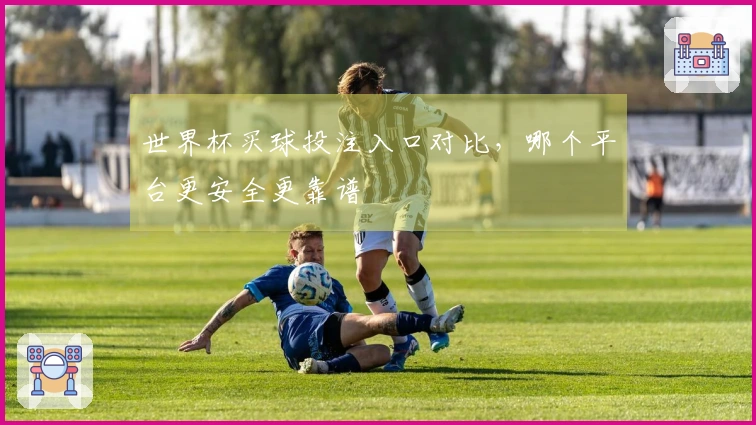 世界杯买球投注入口对比，哪个平台更安全更靠谱