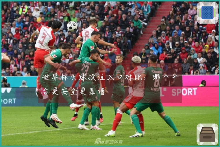 世界杯买球投注入口对比，哪个平台更安全更靠谱