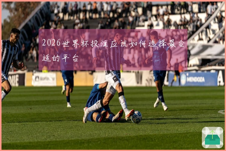 2026世界杯投注应该如何选择最合适的平台