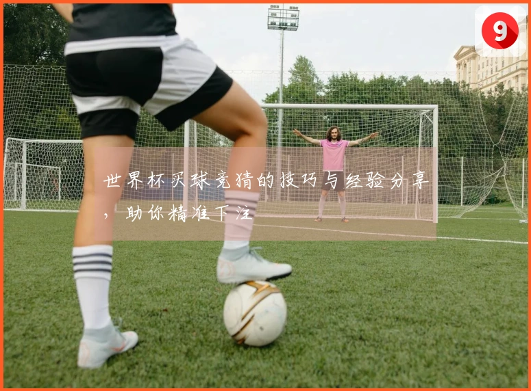 世界杯买球竞猜的技巧与经验分享，助你精准下注