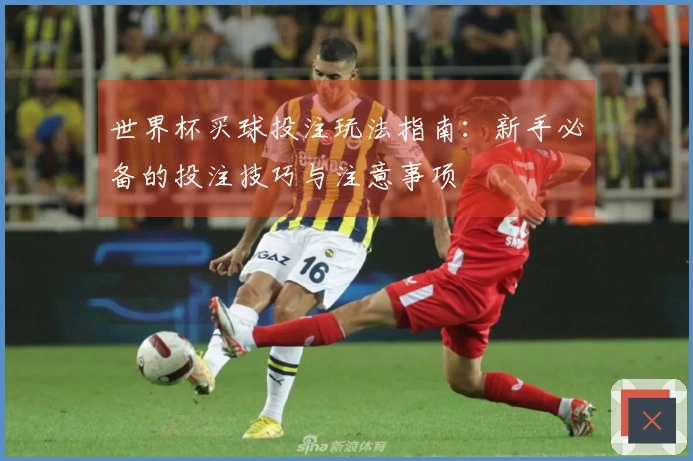 世界杯买球投注玩法指南：新手必备的投注技巧与注意事项