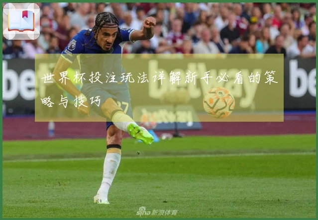 世界杯投注玩法详解新手必看的策略与技巧