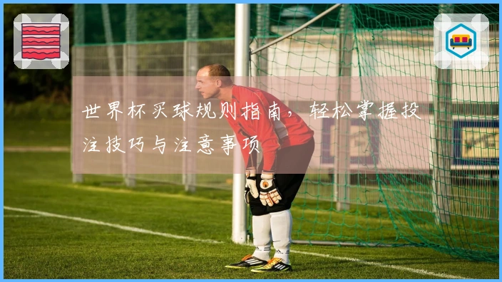 世界杯买球规则指南，轻松掌握投注技巧与注意事项
