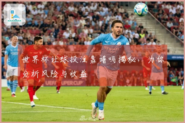 世界杯让球投注靠谱吗揭秘，为你分析风险与收益